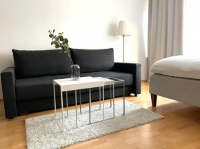 City Home Finland Spacious Downtown Apartment - One Bedroom, Private Sauna and Great Location in Tampere Downtown